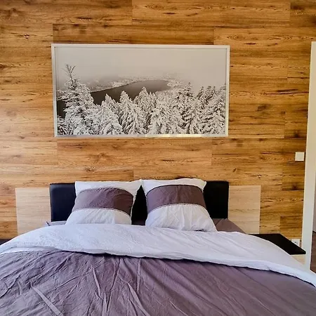 F2* * * 80m Du Avec Vue+terrasse+proche Centre Gerardmer