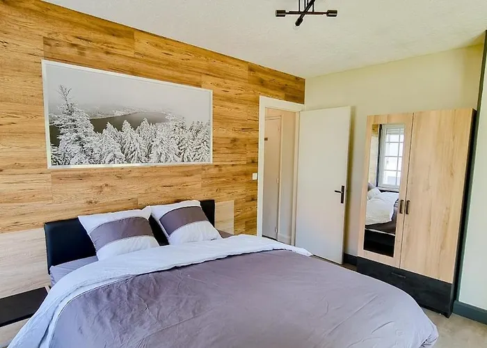 F2* * * 80m Du Avec Vue+terrasse+proche Centre * Жерарме